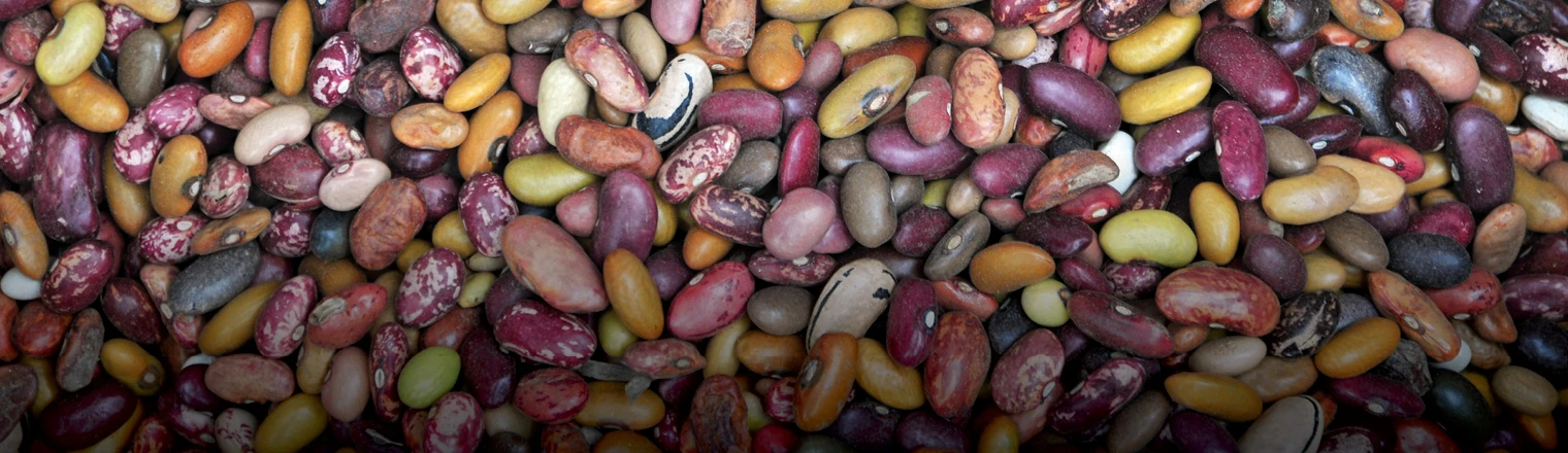 First slide Beans Observatory