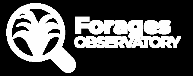 Fourth slide Forages Observatory