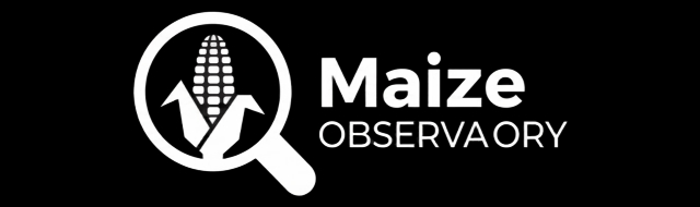 Ninth slide Maize Observatory