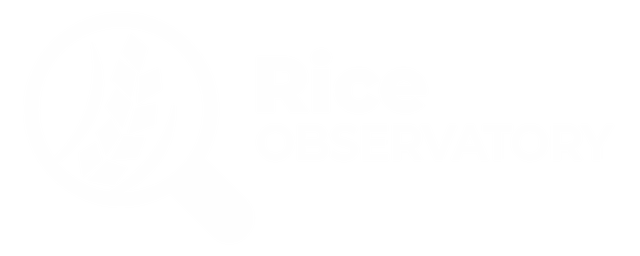Second slide Rice Observatory