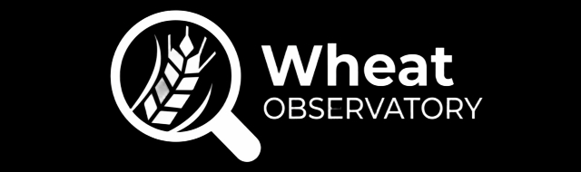 Tenth slide Wheat Observatory