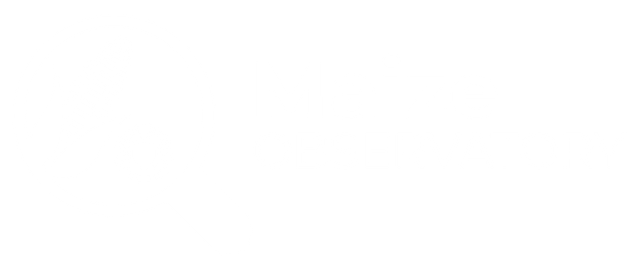 Ninth slide Maize Observatory