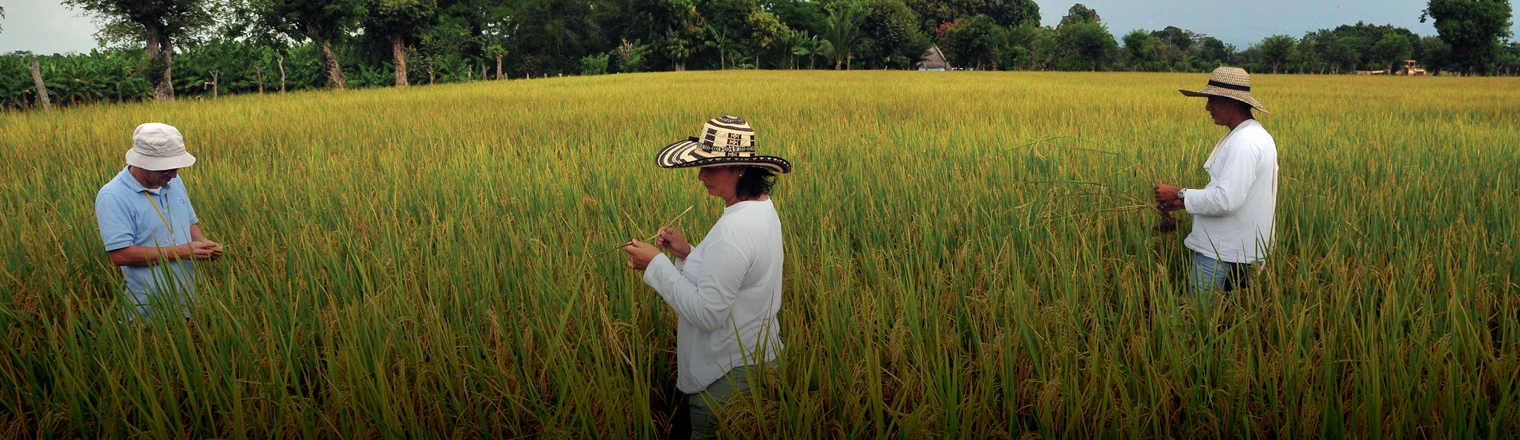 Context slide Rice Observatory