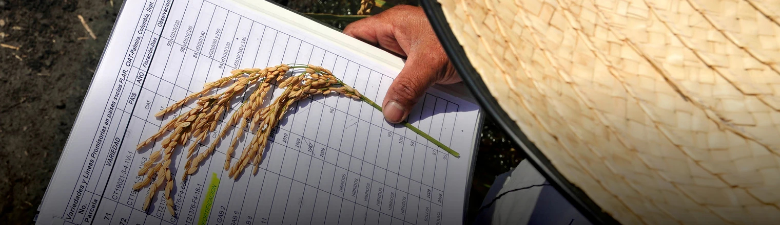 Prices slide Rice Observatory