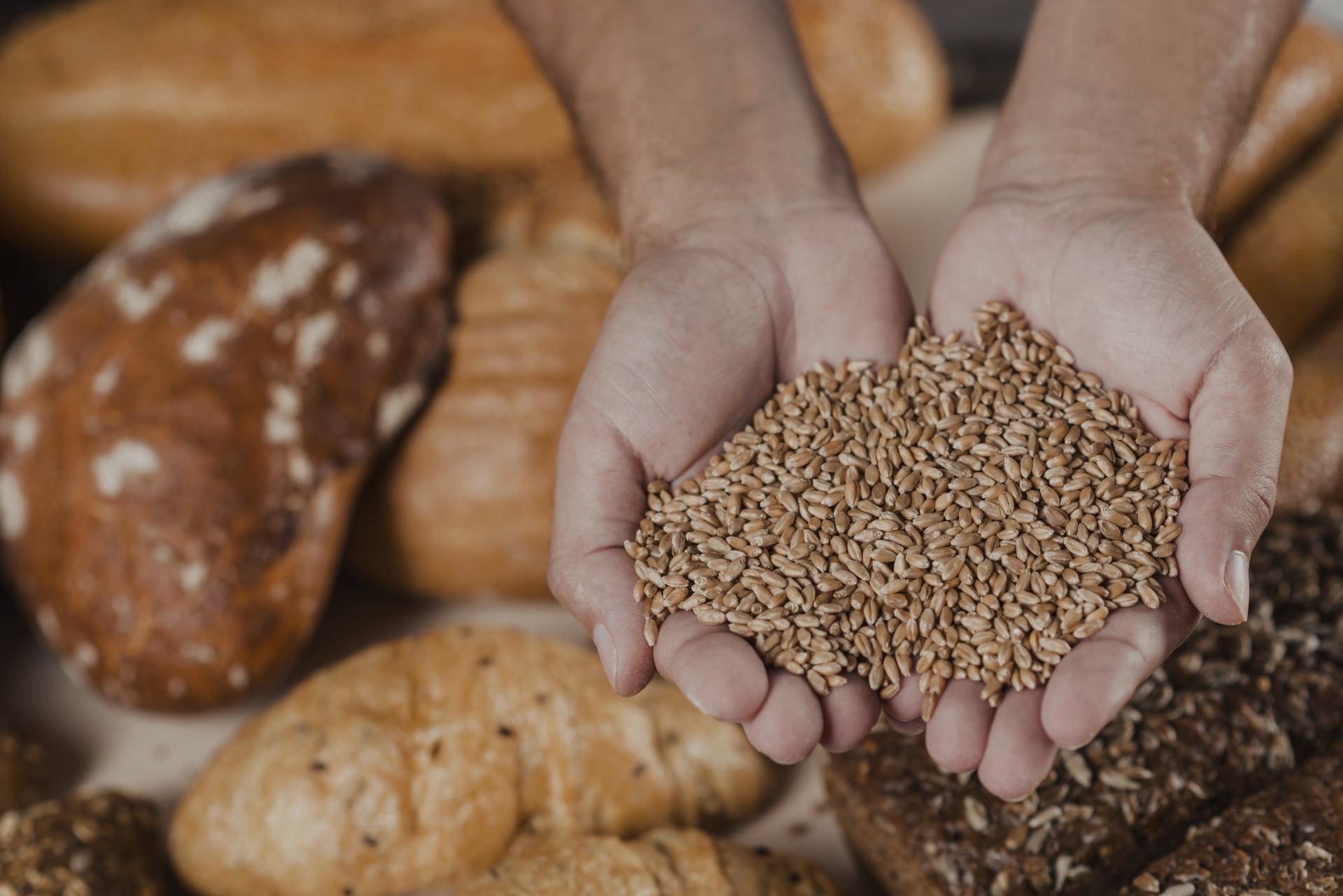 Consumption slide Wheat Observatory