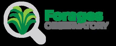 Beans logo
