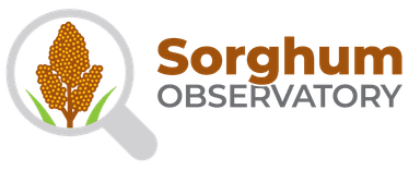 sorghum logo