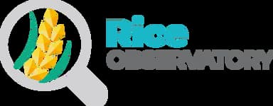 Beans logo